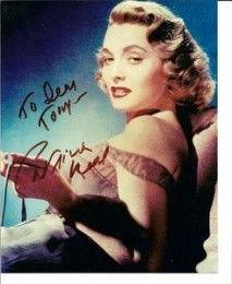 爪哇特里尼尔,探索印尼文化瑰宝的窗口